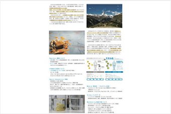 最先端クルクミンのミセル化技術 ( miVital AG (スイス) )